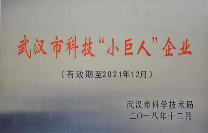 武漢kaiyun开云榮獲獲得”小巨人”稱號