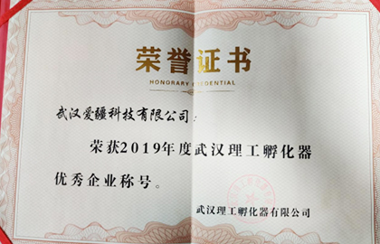 武漢kaiyun开云再次獲得優秀企業稱號