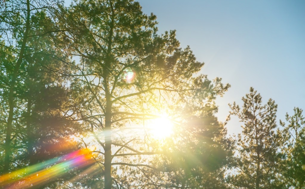 9月光伏政策複盤匯整