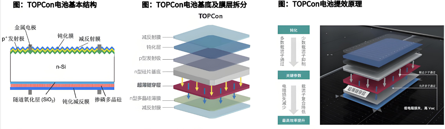 TOPCon組件為什麽背麵能用EVA