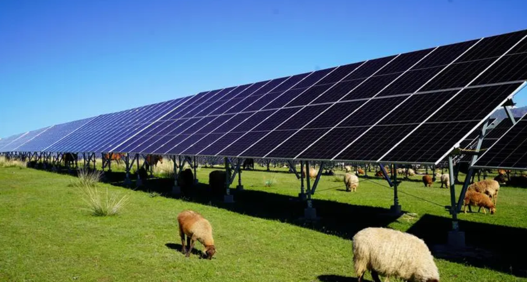 1728868968905393.png image.png